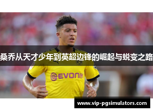桑乔从天才少年到英超边锋的崛起与蜕变之路