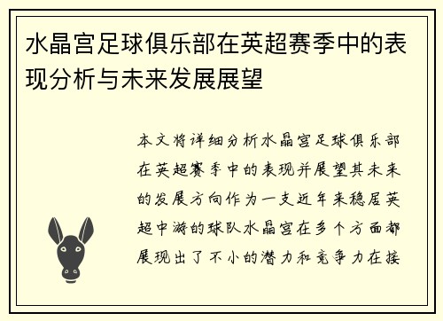 水晶宫足球俱乐部在英超赛季中的表现分析与未来发展展望